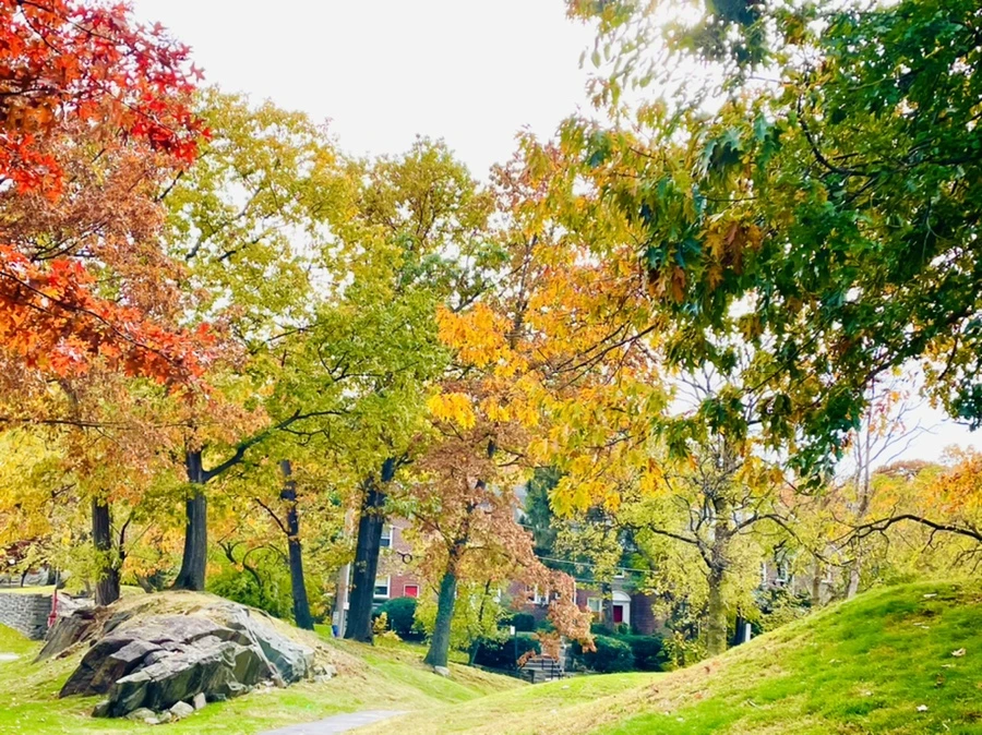 IMG_2283.jpg?type=w966