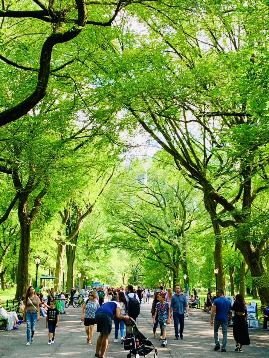 IMG_3534.jpg?type=w966