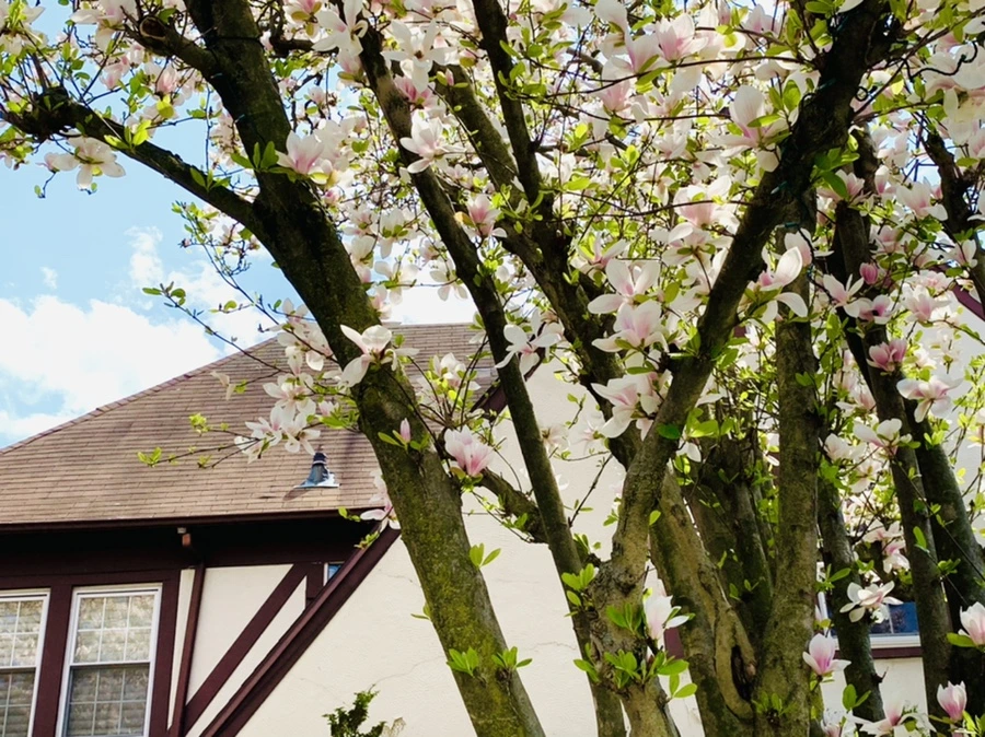 IMG_3918.jpg?type=w966