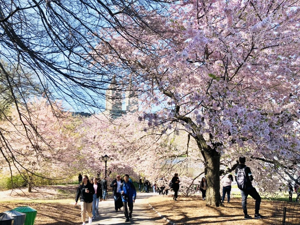 IMG_3126.jpg?type=w966