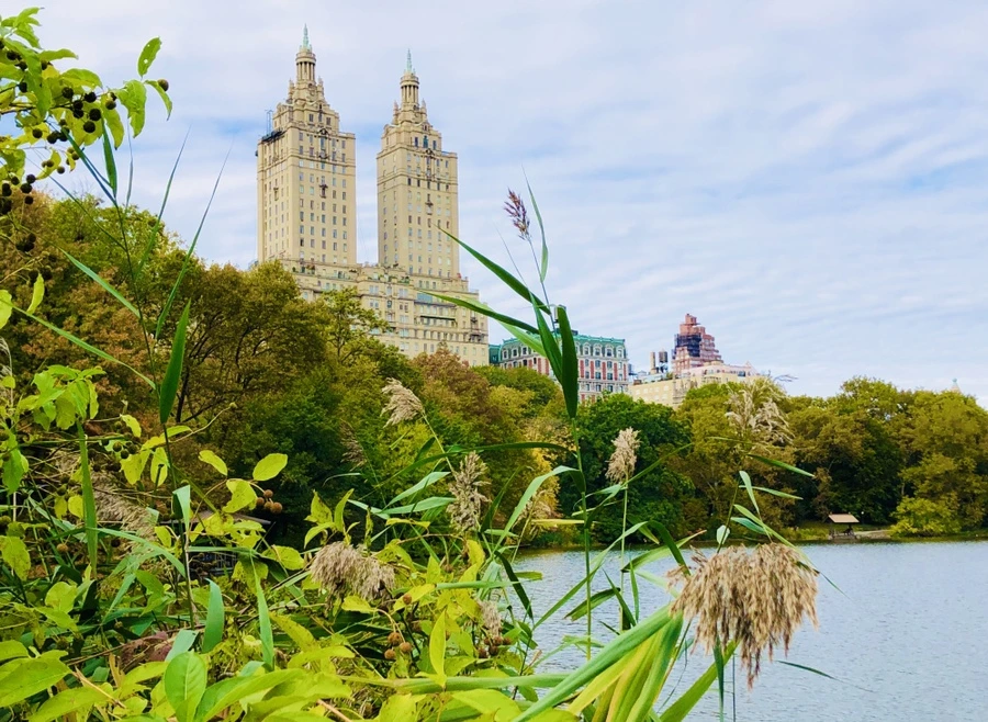 IMG_3048.jpg?type=w966