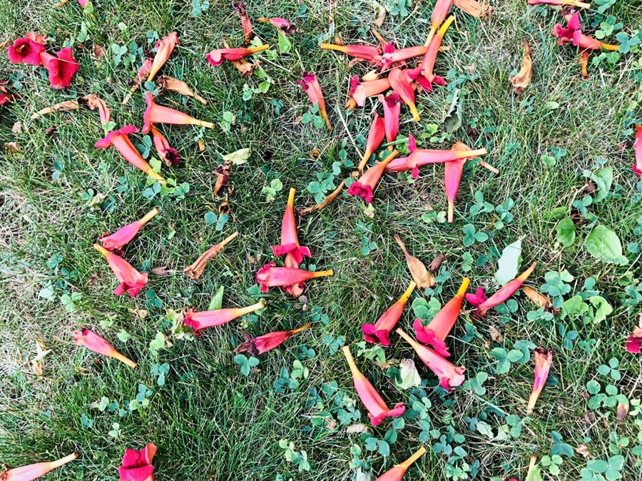 IMG_2040.jpg?type=w966