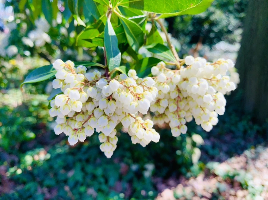 IMG_5651.jpg?type=w966