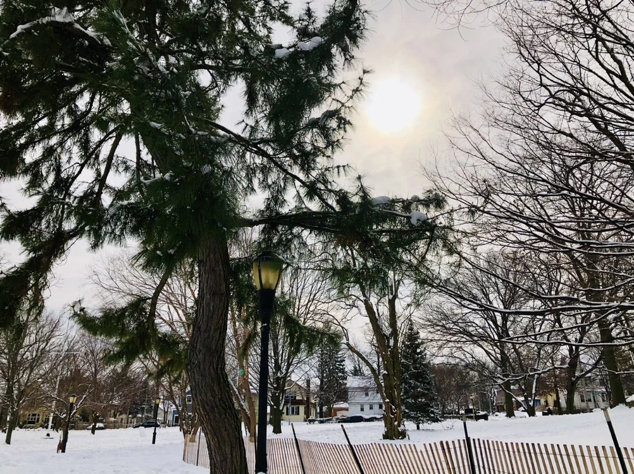 IMG_2140.jpg?type=w966