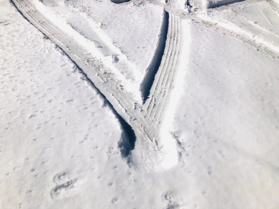 IMG_4012.jpg?type=w966