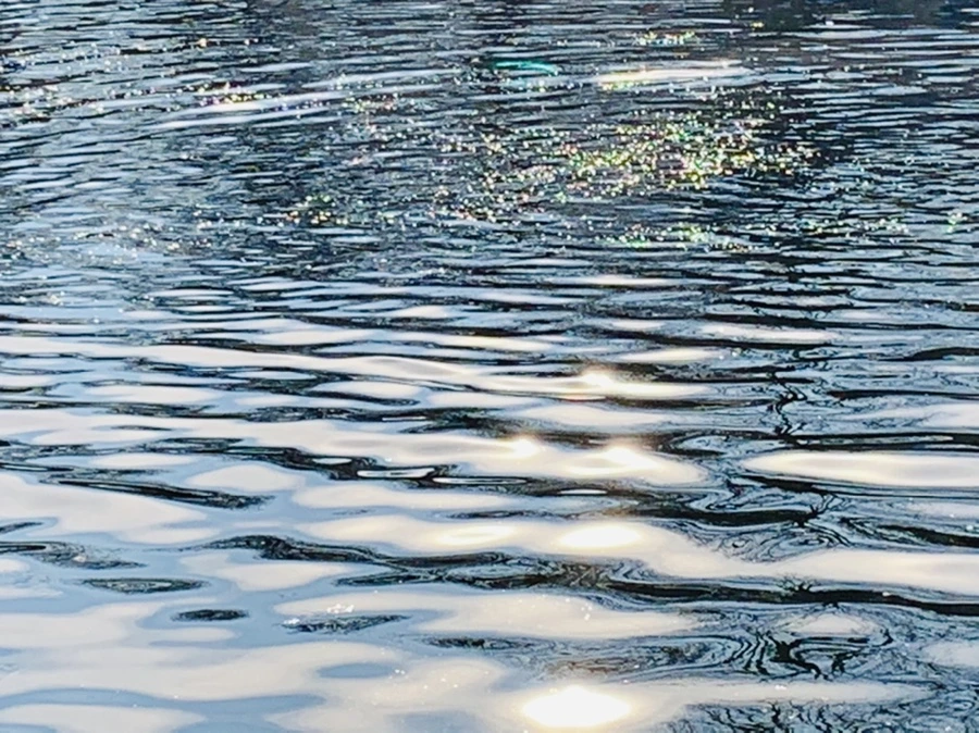 IMG_0377.jpg?type=w966