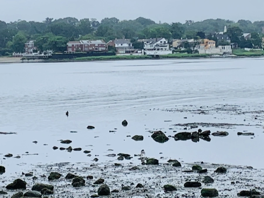 IMG_4804.jpg?type=w966