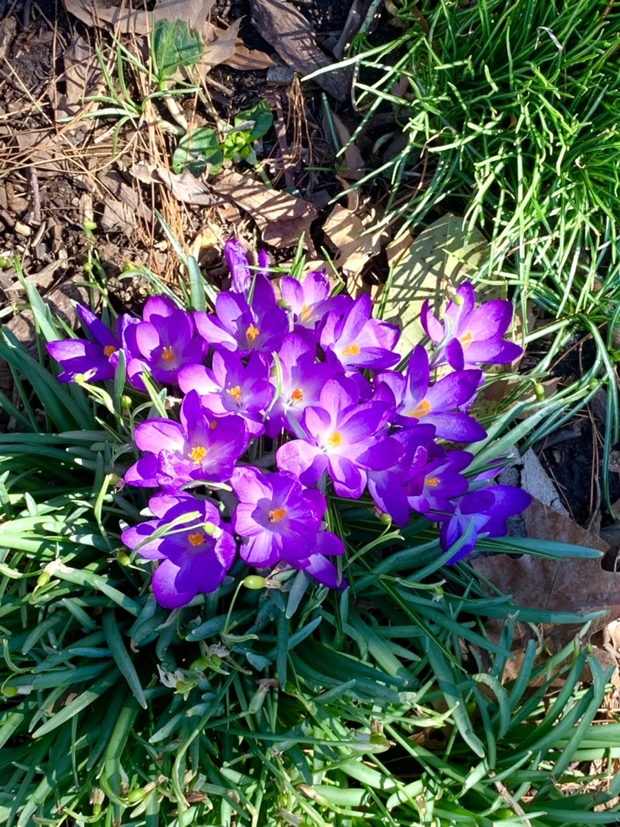 IMG_5663.jpg?type=w966