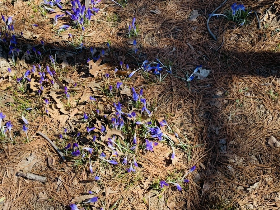 IMG_1415.jpg?type=w966