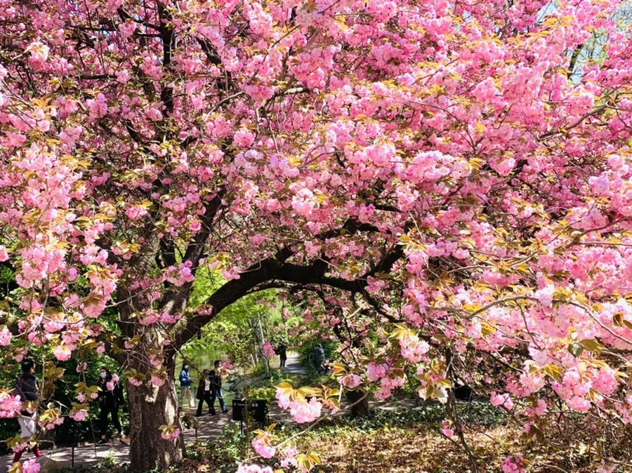 IMG_6388.jpg?type=w966