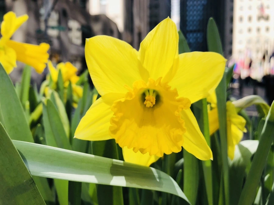 IMG_2207.jpg?type=w966