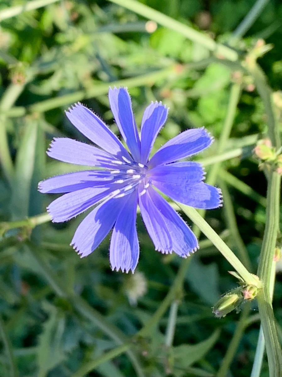 IMG_5243.jpg?type=w966