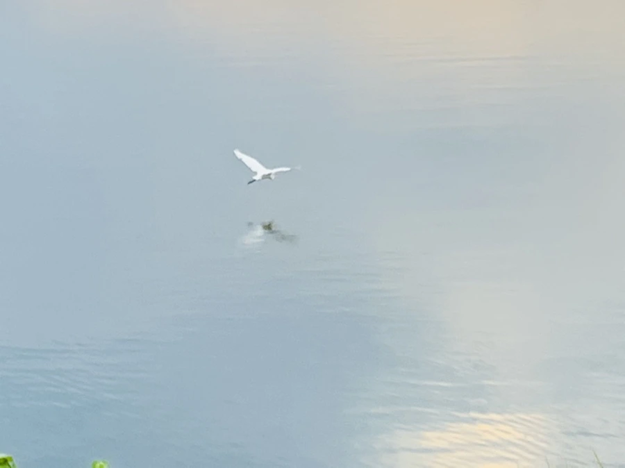 IMG_0599.jpg?type=w966