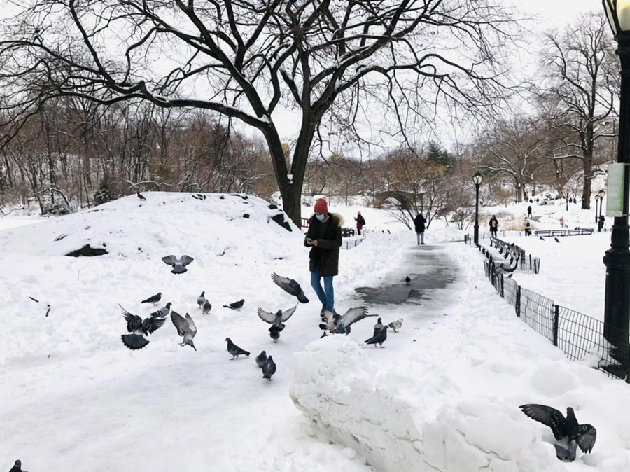 IMG_9117.jpg?type=w966