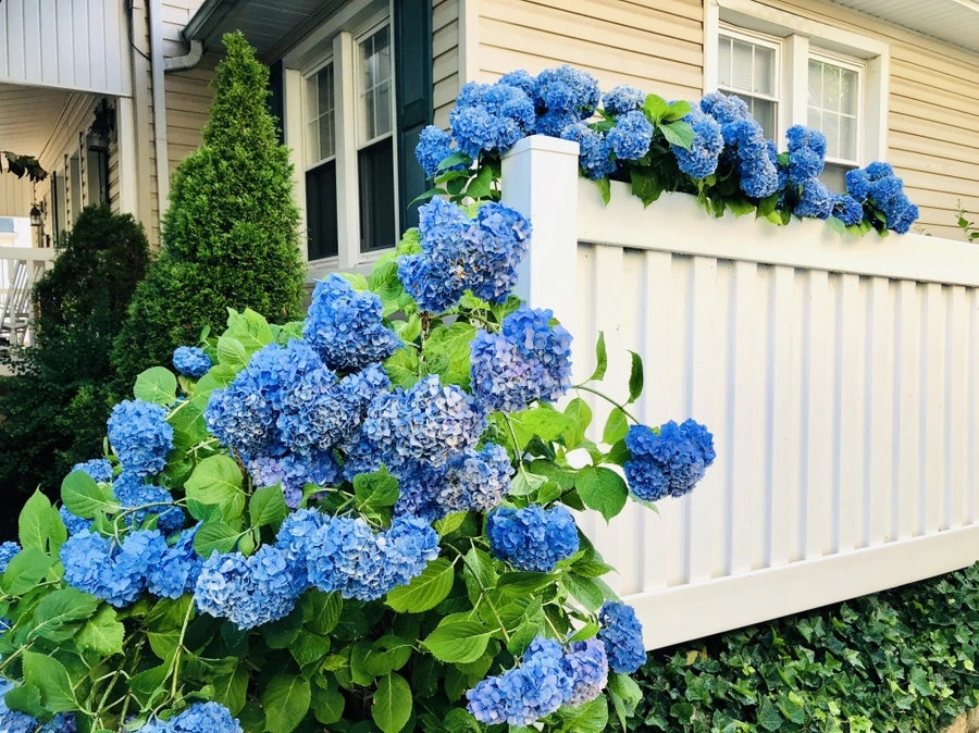 IMG_0554.jpg?type=w966