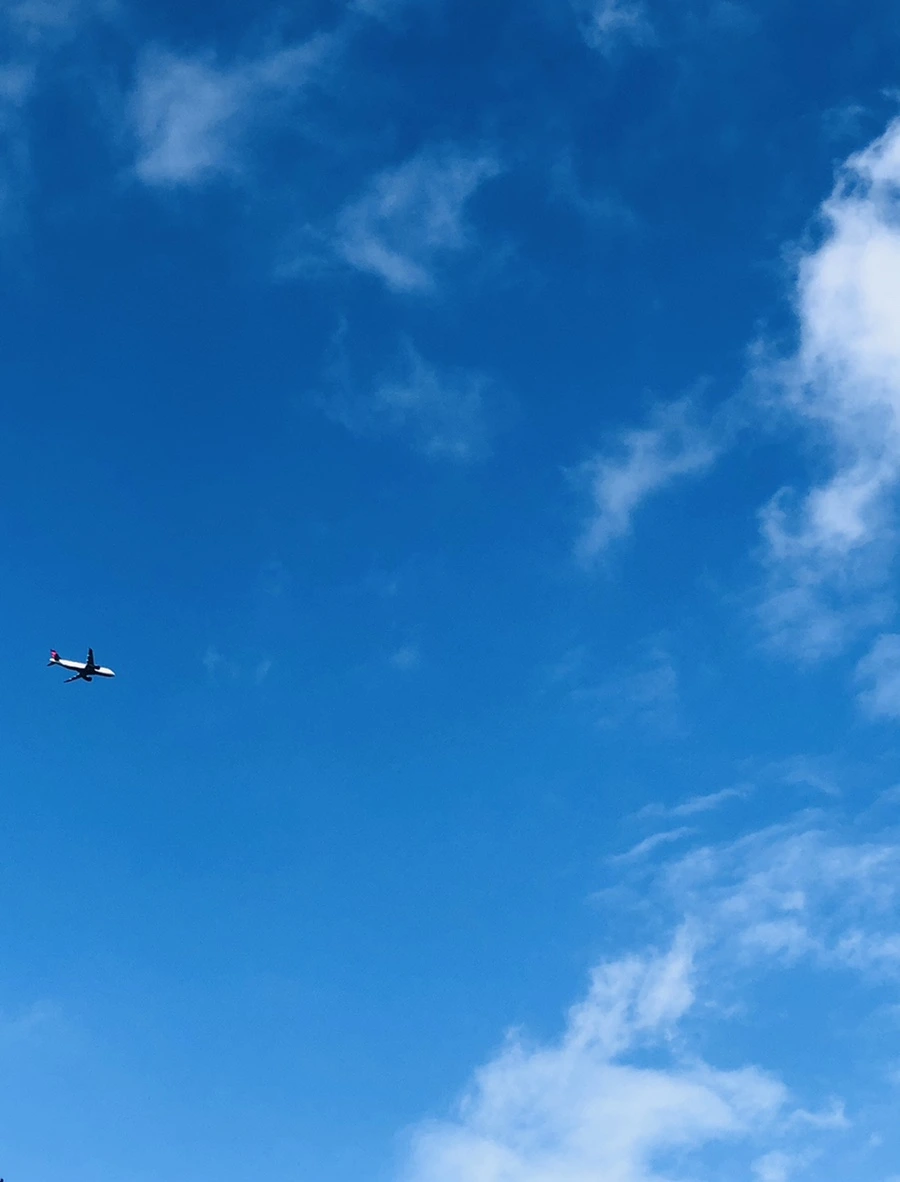 IMG_3721.jpg?type=w966