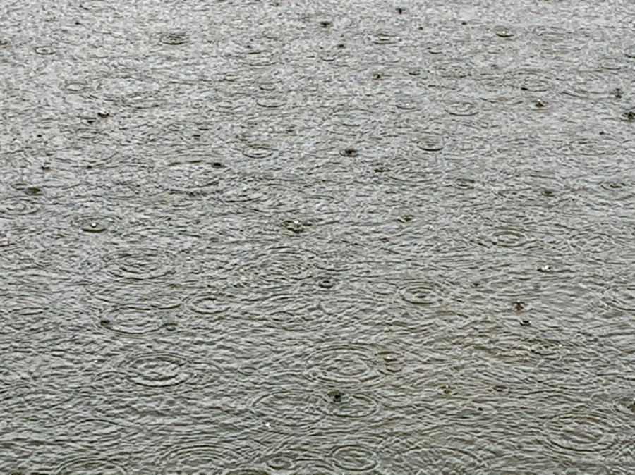 IMG_2056.jpg?type=w966