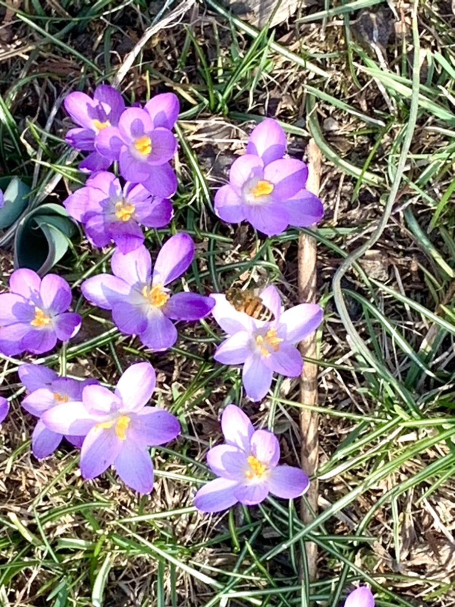 IMG_0216.jpg?type=w966