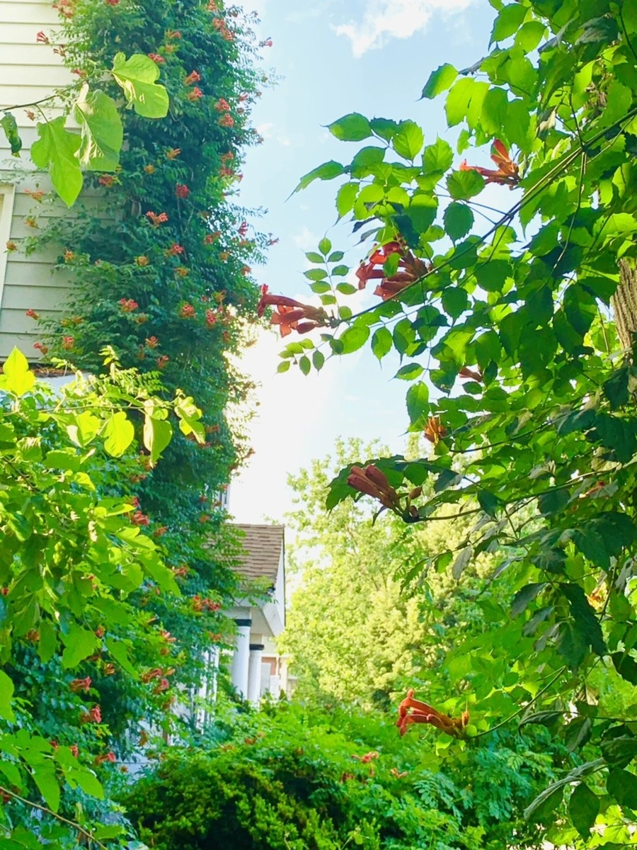 QmKUZ7BzOcRQvh_0wULszJILfKU