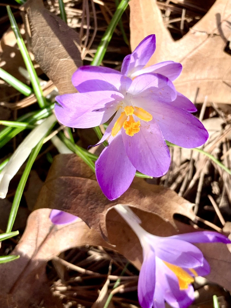 IMG_9648.jpg?type=w966