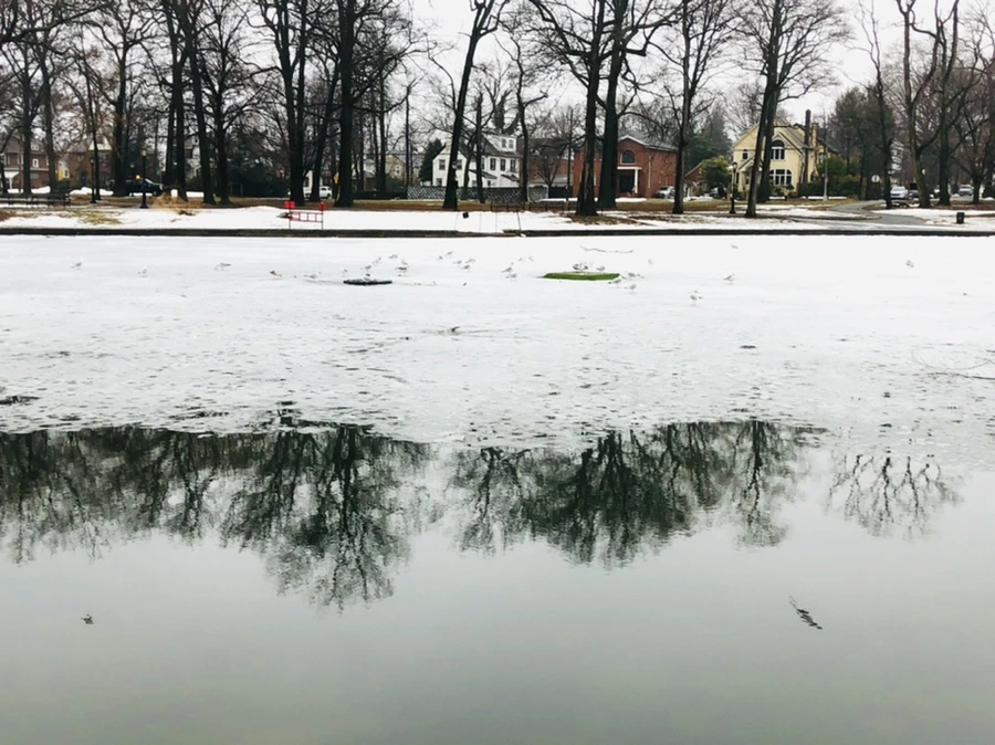 IMG_5506.jpg?type=w966