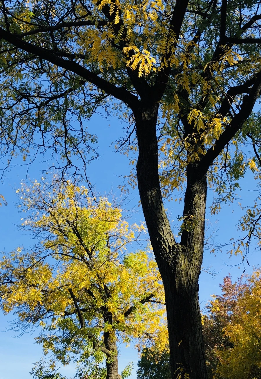 IMG_1865.jpg?type=w966