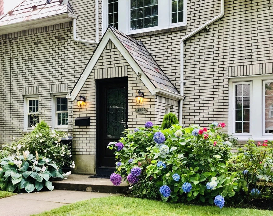 IMG_0429.jpg?type=w966