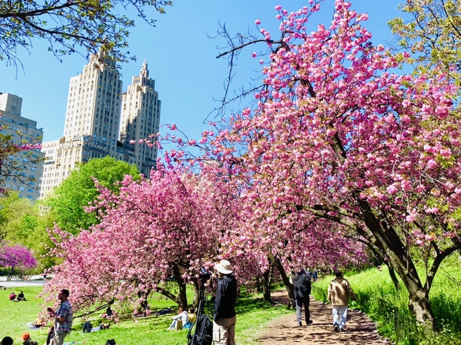 IMG_5952.jpg?type=w966