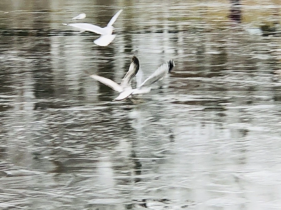 Qdj9o58-OpuGeBqo7uYGB80QYfI