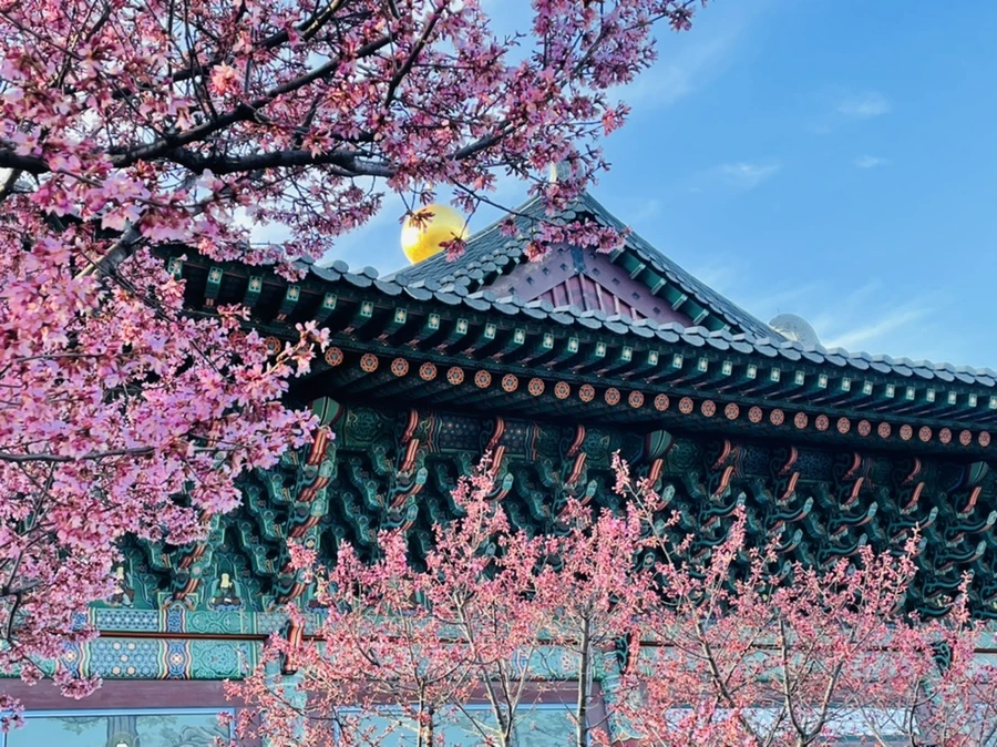 IMG_6094.jpg?type=w966