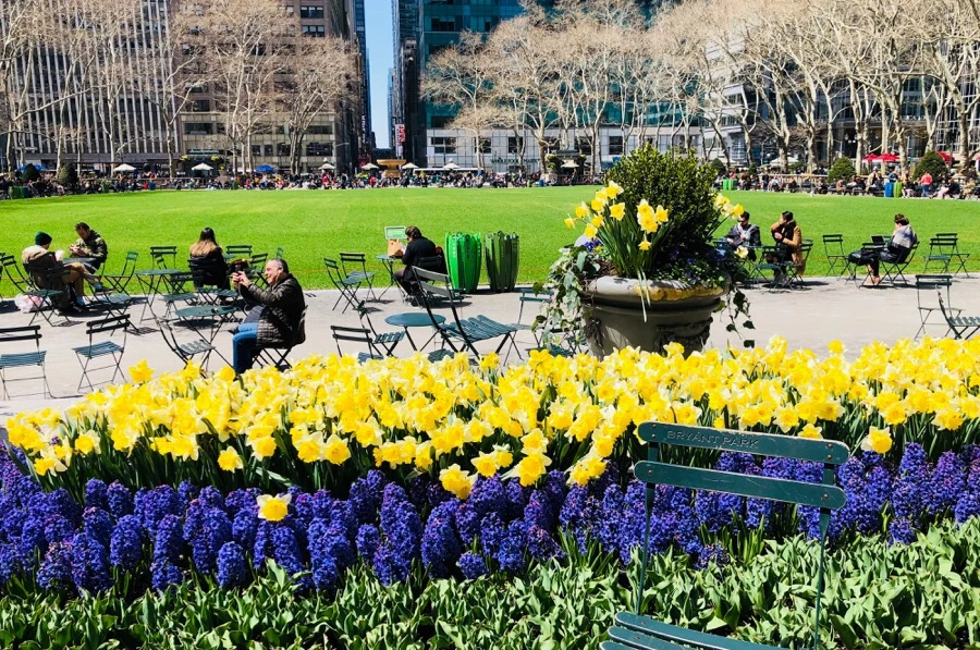 IMG_4583.jpg?type=w966