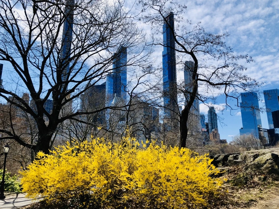 IMG_6662.jpg?type=w966