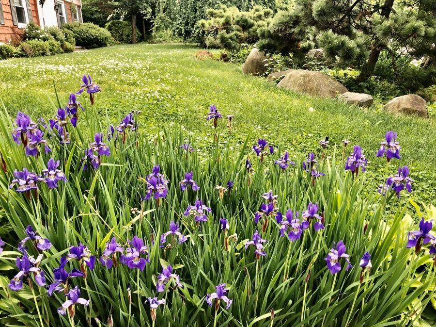 IMG_7544.jpg?type=w966