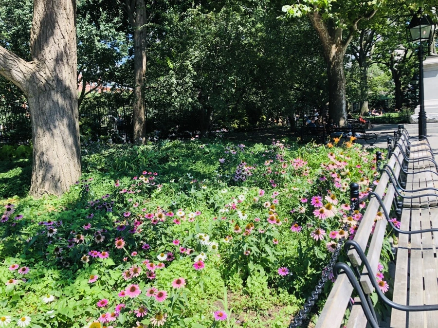 IMG_5428.jpg?type=w966