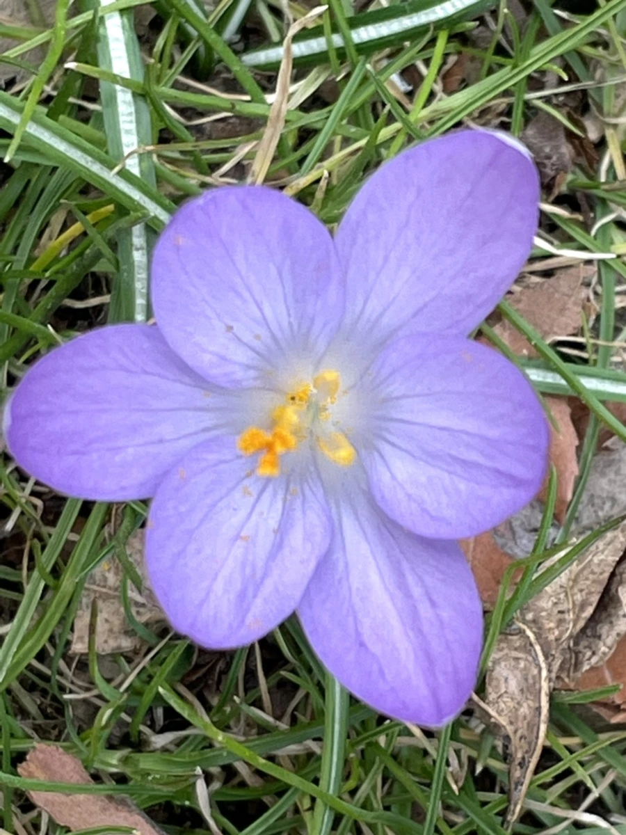 IMG_4069.jpg?type=w966