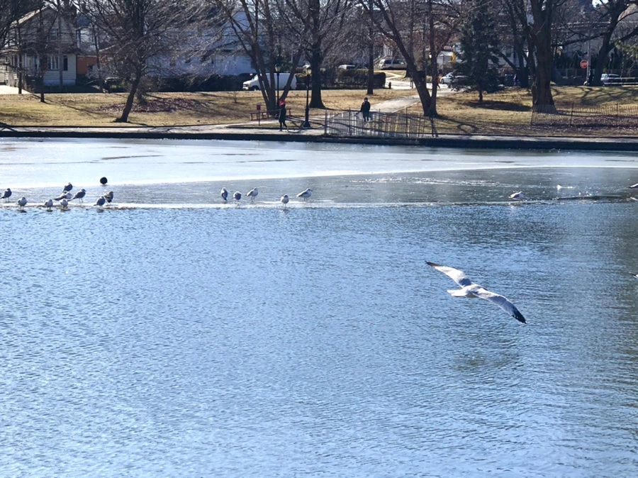 IMG_6763.jpg?type=w966