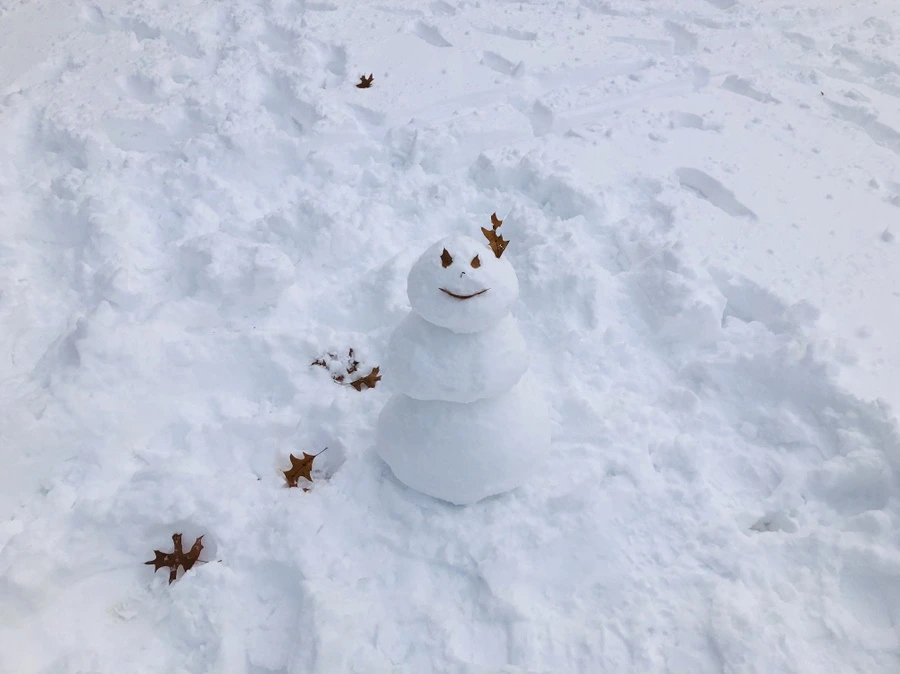 IMG_7159.jpg?type=w966