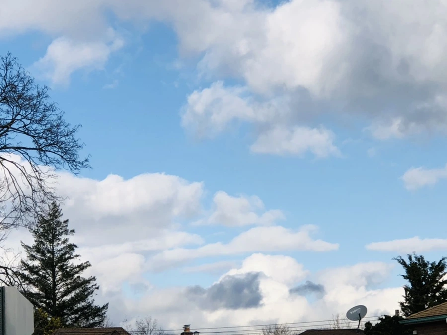 IMG_3678.jpg?type=w966