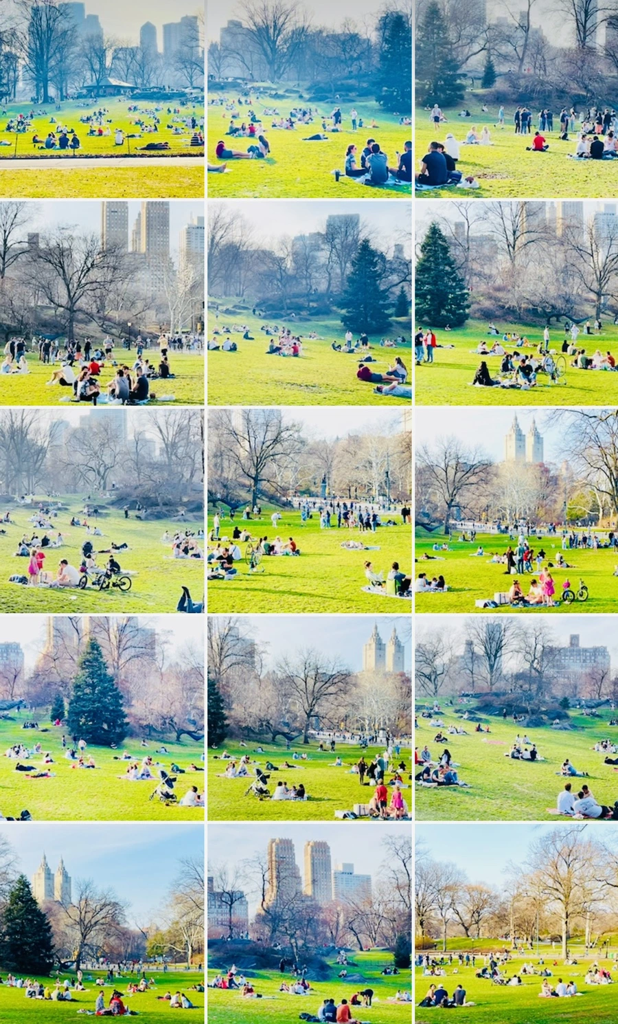 IMG_6003.jpg?type=w966