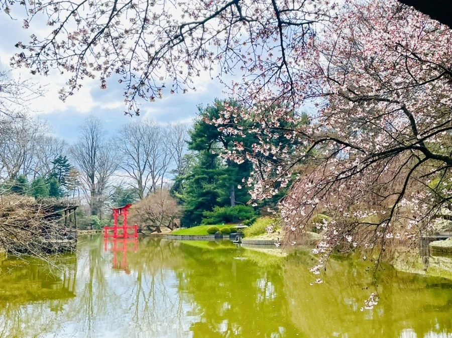 IMG_7496.jpg?type=w966