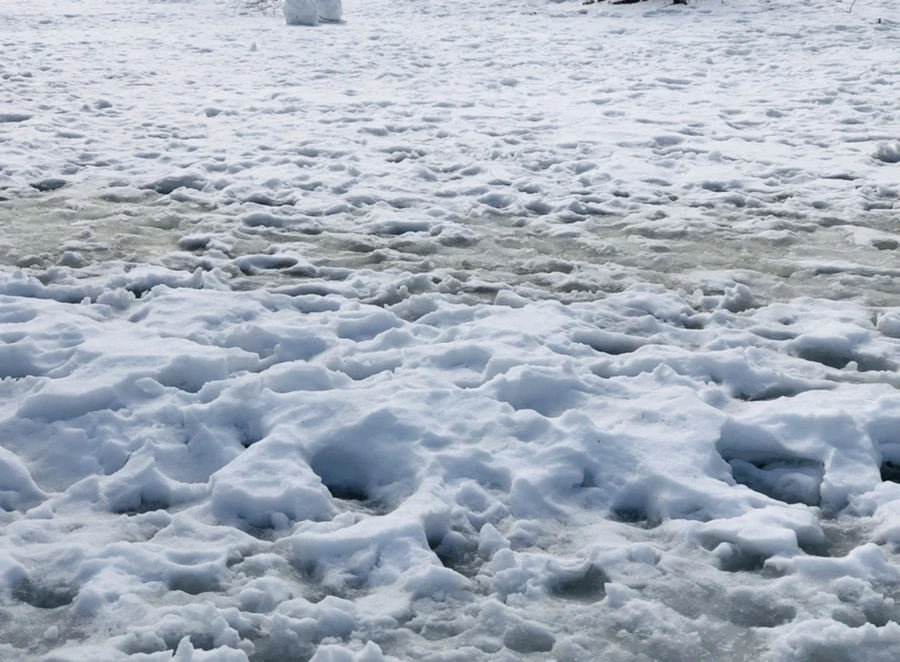 IMG_2849.jpg?type=w966