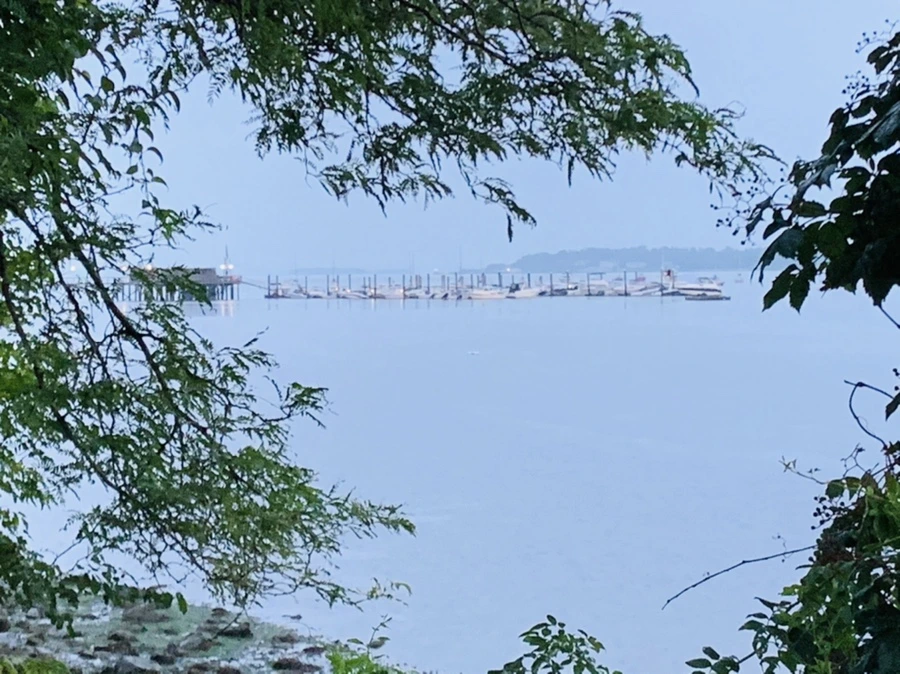 IMG_0113.jpg?type=w966