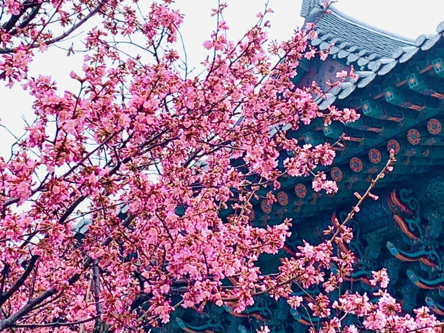 IMG_5254.jpg?type=w966