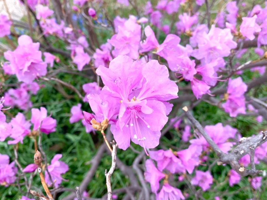 IMG_5941.jpg?type=w966