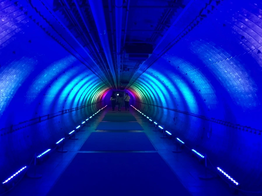 IMG_6249.jpg?type=w966