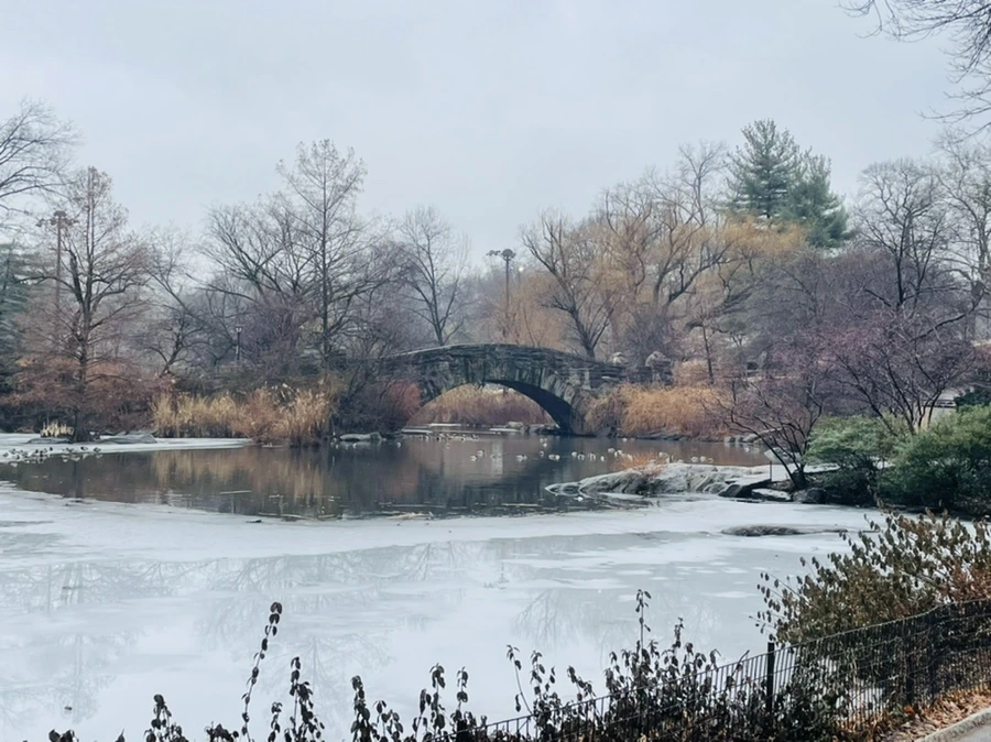 IMG_1574.jpg?type=w966