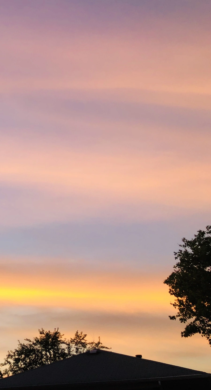 IMG_4563.jpg?type=w966