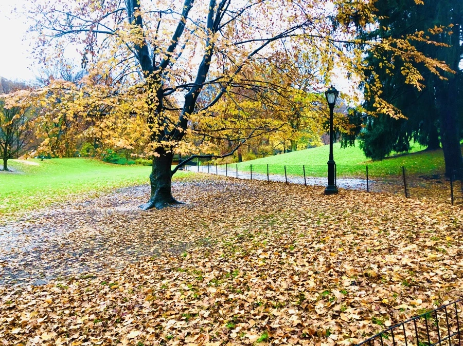 IMG_5747.jpg?type=w966