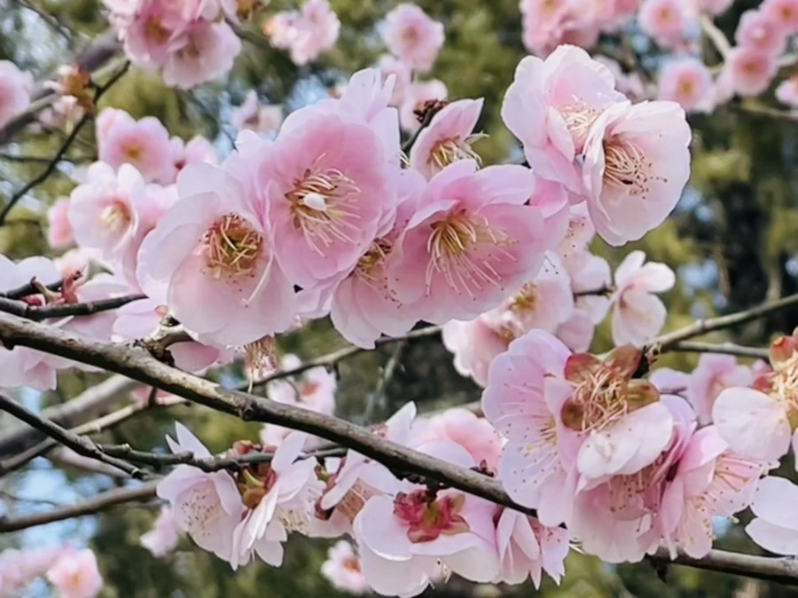 IMG_6625.jpg?type=w966