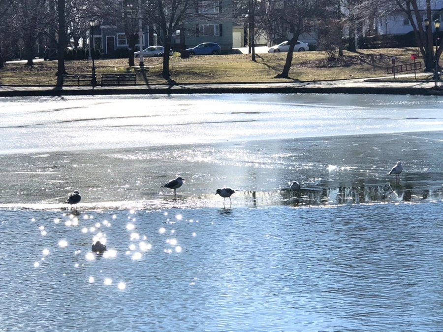 IMG_6791.jpg?type=w966